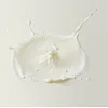 Almond Milk