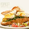 Forest Omelette