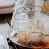 Ice V60