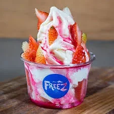 FREEZ-Global Village