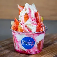 FREEZ-Global Village